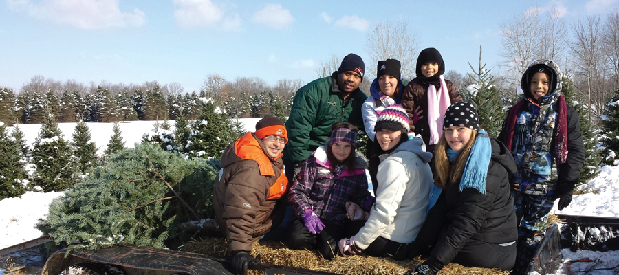 Storeyland Christmas Tree Farm