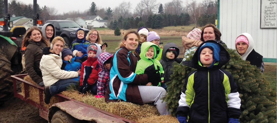 Storeyland Christmas Tree Farm