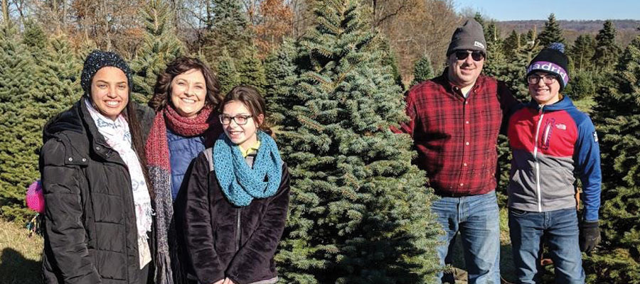 Directions to Storeyland Christmas Tree Farm