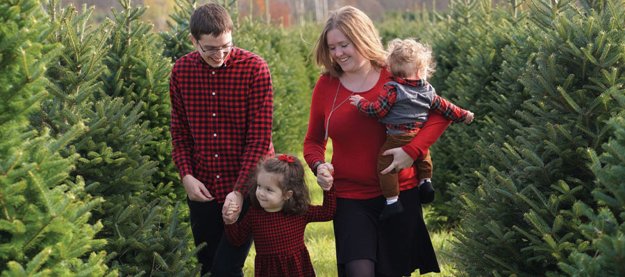 Storeyland Christmas Tree Farm