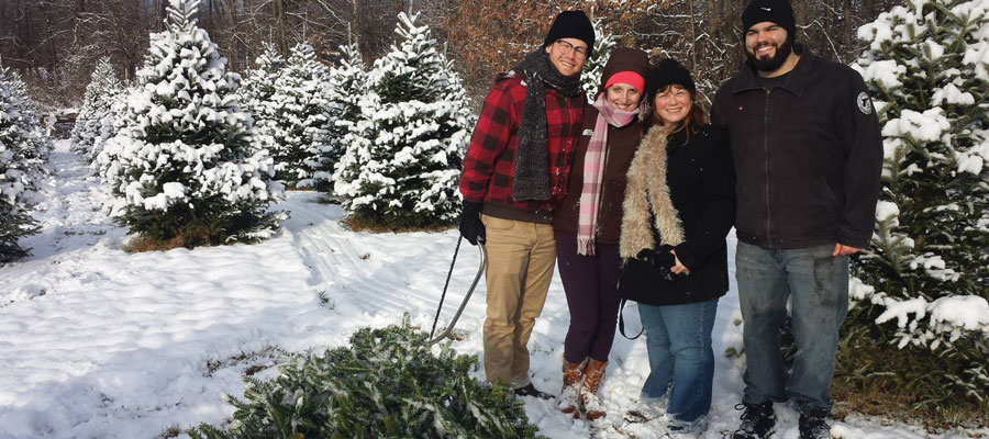 Storeyland Christmas Trees