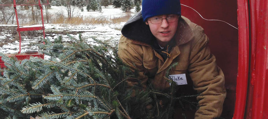 Directions to Storeyland Christmas Tree Farm